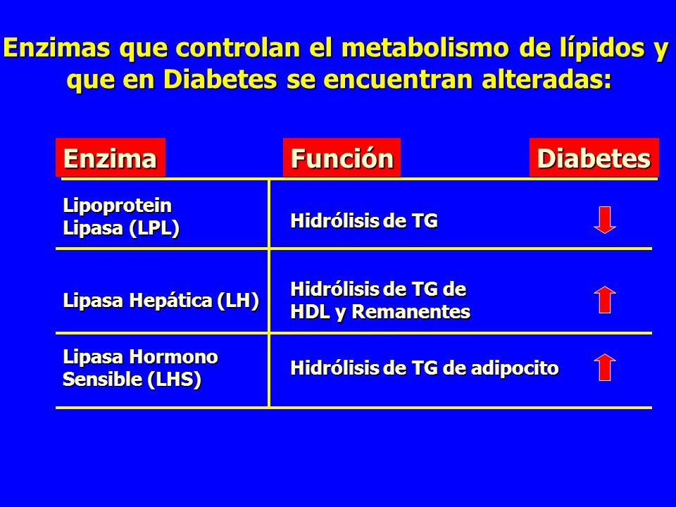 diabetes enzimas hepáticas